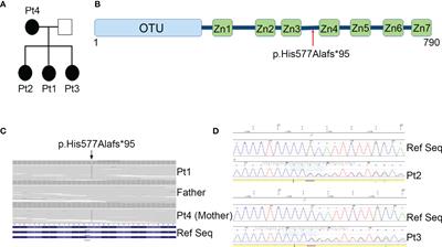 Identification of a Novel Mutation in TNFAIP3 in a Family With Poly-Autoimmunity